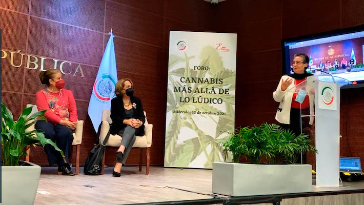 Senado - Foto Cannabis más allá de lo lúdico