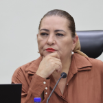 INE Guadalupe Taddei - Foto ilustración cortesía internet
