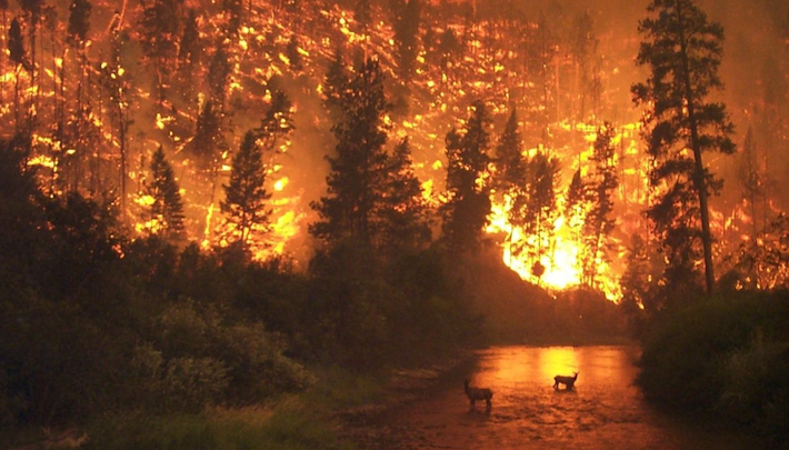 Portugal incendio - Foto ilustración cortesía internet