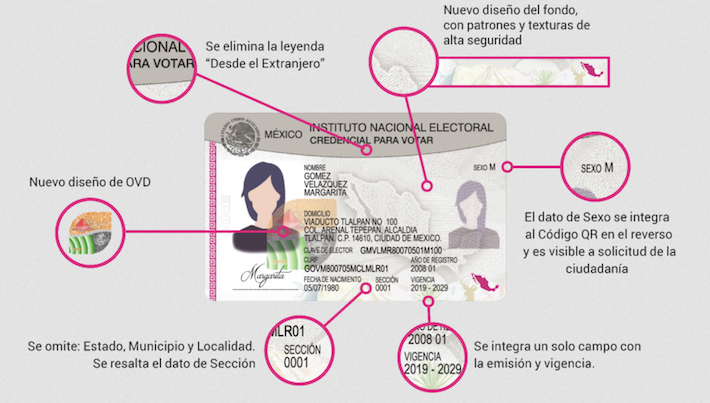 Nuevo modelo credencial INE - Foto ilustración cortesía internet