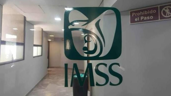 IMSS - Foto ilustración cortesía internet