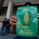 Agricultores Maíz - Foto ilustración cortesía internet