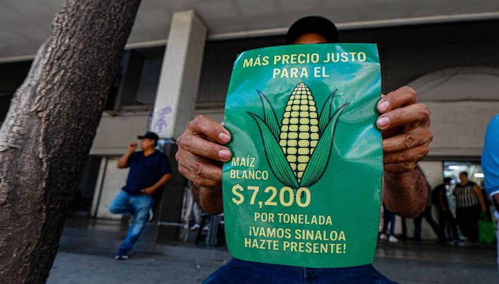 Agricultores Maíz - Foto ilustración cortesía internet