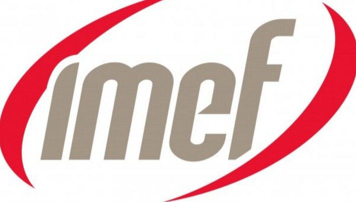 IMEF - Foto ilustración cortesía internet