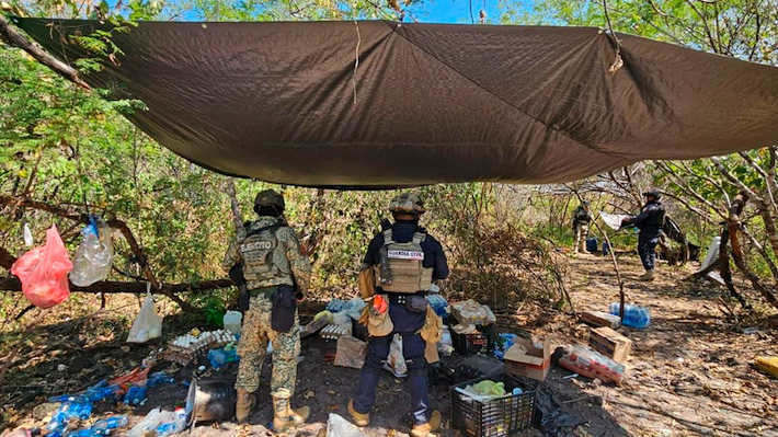 Campamentos - Michoacán - Foto ilustración cortesía internet