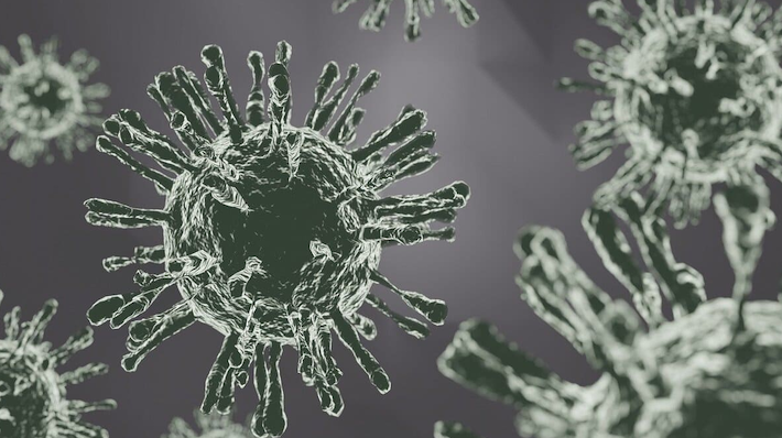 Virus Sincitial Respiratorio (VSR) - Foto ilustración cortesía internet