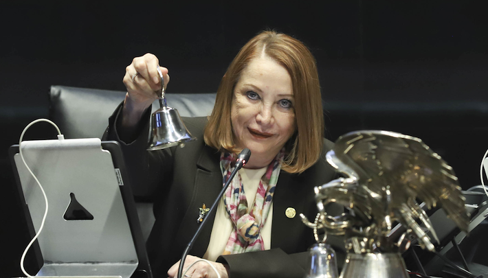 Laura Itzel CAstilloLaura Itzel CAstillo