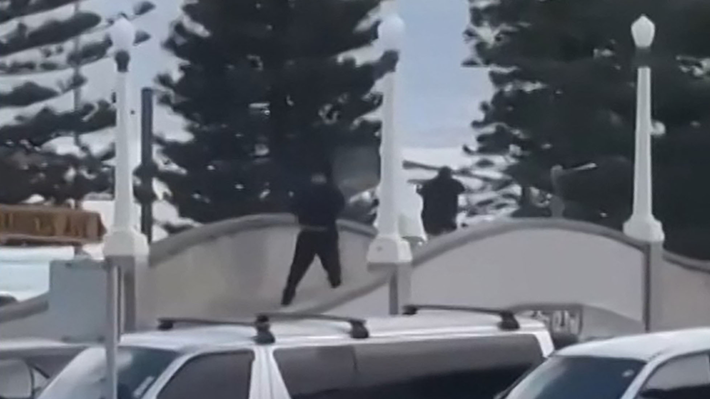 Sidney - Foto ilustración cortesía internet